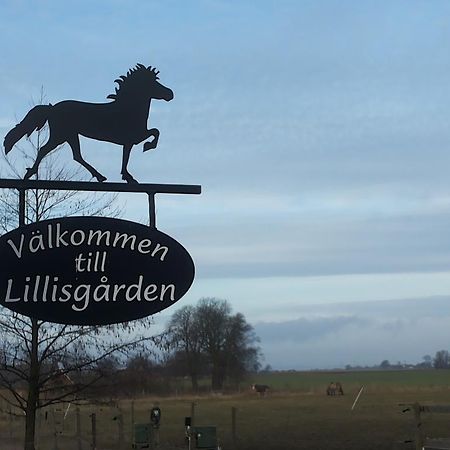 Гостьовий будинок Laegenhet Lillisgarden Vallakra Екстер'єр фото