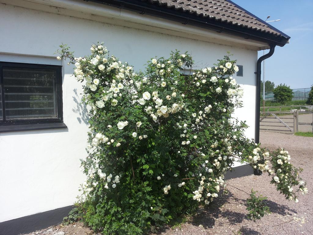 Гостьовий будинок Laegenhet Lillisgarden Vallakra Екстер'єр фото